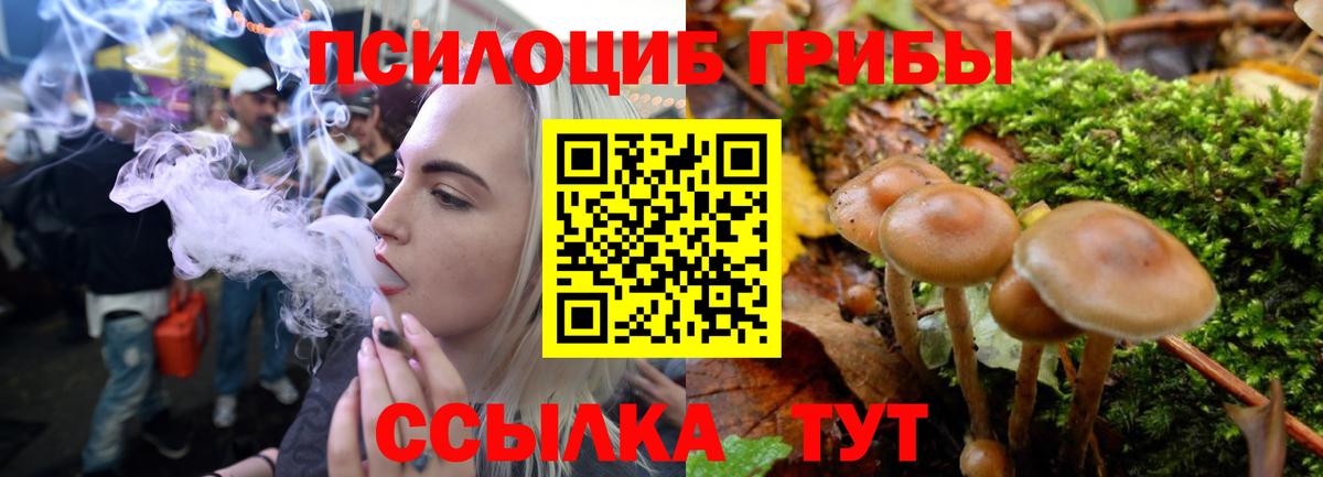 Южноуральск  Псилоцибиновые грибы мицелий  Вход с VPN 